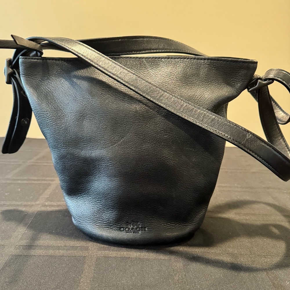 Coach crossbody leather mini bucket bag